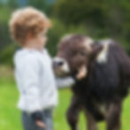 2026 Farmyard Opens 