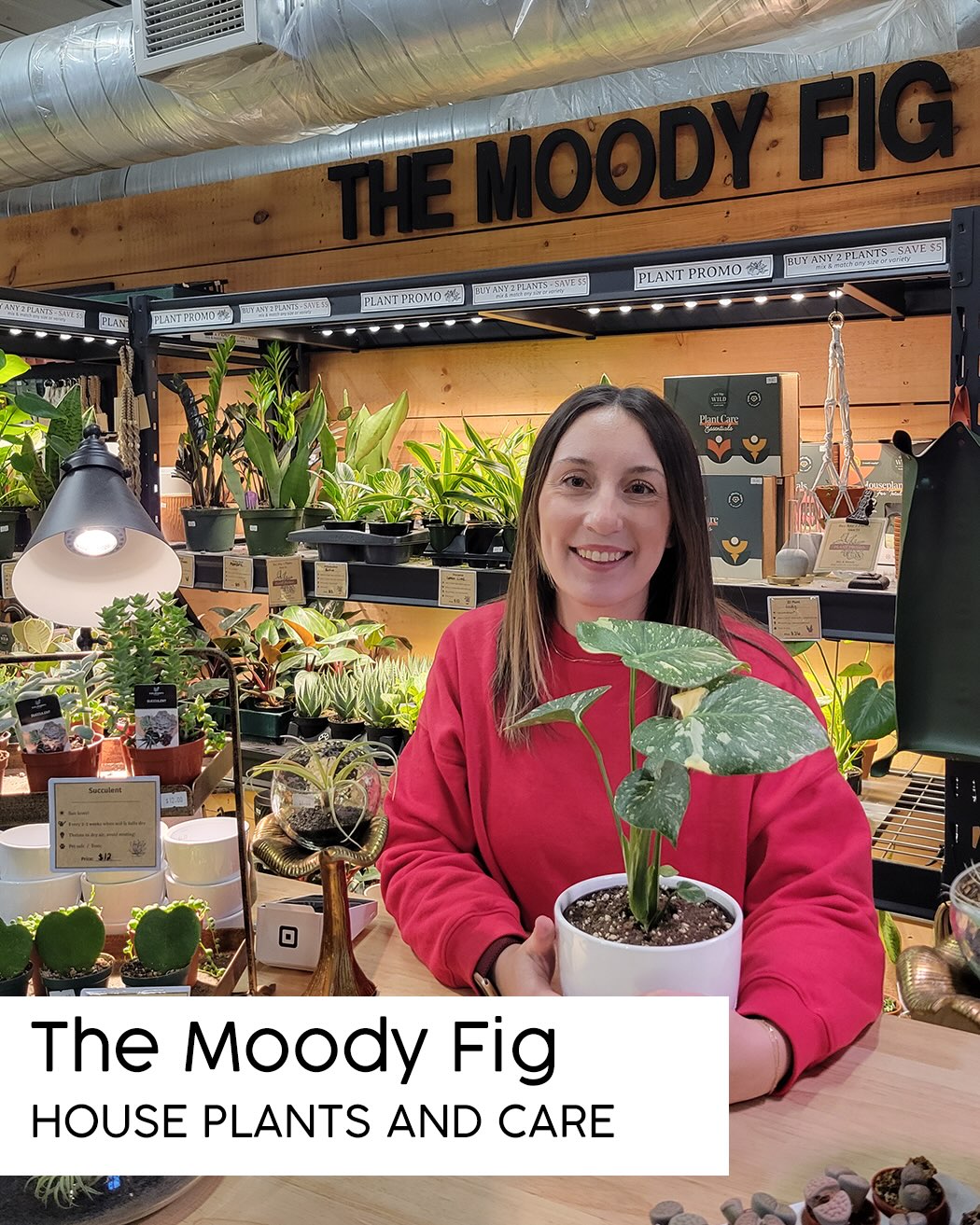 We’re continuing our re-introduction to our indoor vendors, now featuring the 4th row of Peddlers Village. All of our indoor vendors at the St. Jacobs Farmers’ Market are open every Thursday and Saturday, all year long, so there’s always something worth exploring inside.

This row brings together a mix of specialty foods, collectibles, home goods, and local favourites that make wandering the market half the fun.
Swipe through, tap the photos to explore their pages (tagged where available), and add a few new favourites to your regular market visit.

Featuring:
The Modern Paw • G.A. Enterprises • No Bull Tallow • Conestoga Bird Feed • The Moody Fig • For The Love of Canada • Triple A Trading • CJ’s Vinyl • A.O.B. Rugs • Raghav & Brothers • Paradigm Spirits • Benjie’s Sports Cards • Peter’s Video Games • Dave Collectible • David Burns Antiques • Kitchen on Fire • Star Grill 

📍 St. Jacobs Farmers’ Market
🕘 Open Thursdays & Saturdays, year-round
• Thursdays: 8am–3pm
• Saturdays: 7am–3:30pm