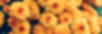 AdobeStock_381443377.jpeg