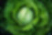 AdobeStock_193210298.jpeg