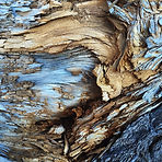 close up of a unique piece of wood at Koka - Bora  
