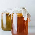 2 jars of fresh kombucha fermenting under cheesecloth by Cathy’s Kombucha