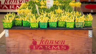 Johnson Farms