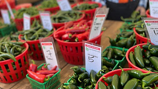 Spruce Ridge Farms