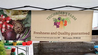 Teichroeb's Farm