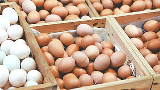 Nature Plus Eggs