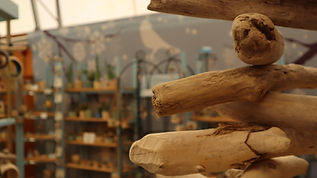 Driftwood Studio